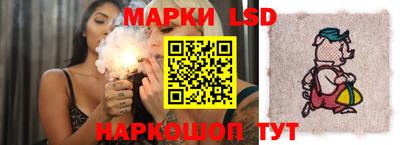 крисы Пенза