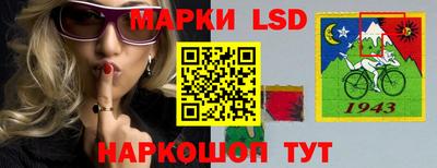 крисы Пенза