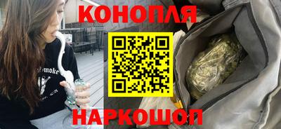 крисы Пенза