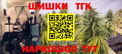 крисы Пенза