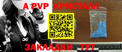 крисы Пенза